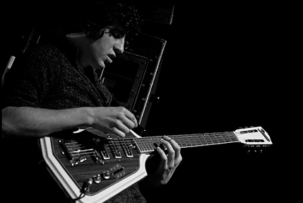 the wombats